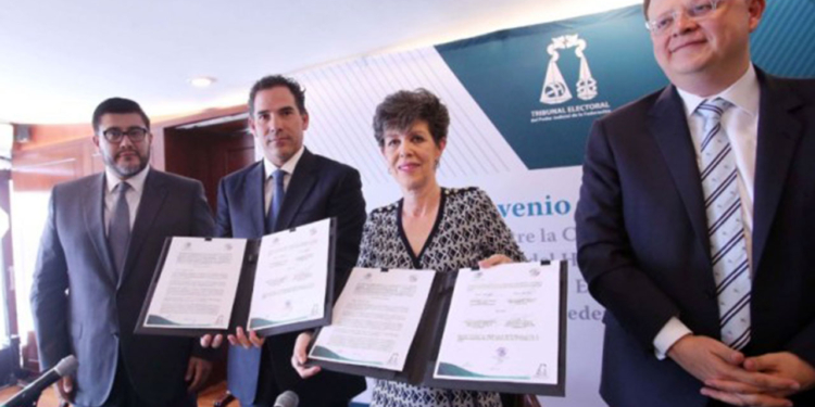 Foto: mipuntodevista.com.mx