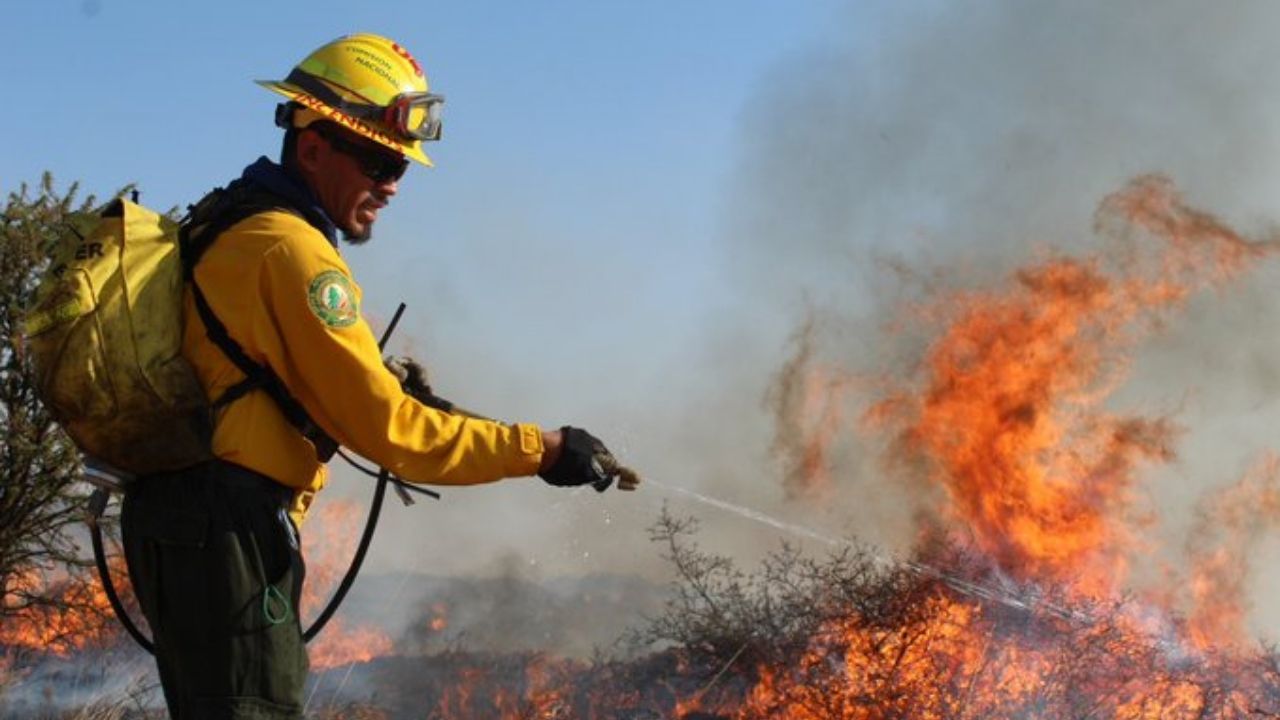 Resultado de imagen para incendio biosfera de sian ka'an