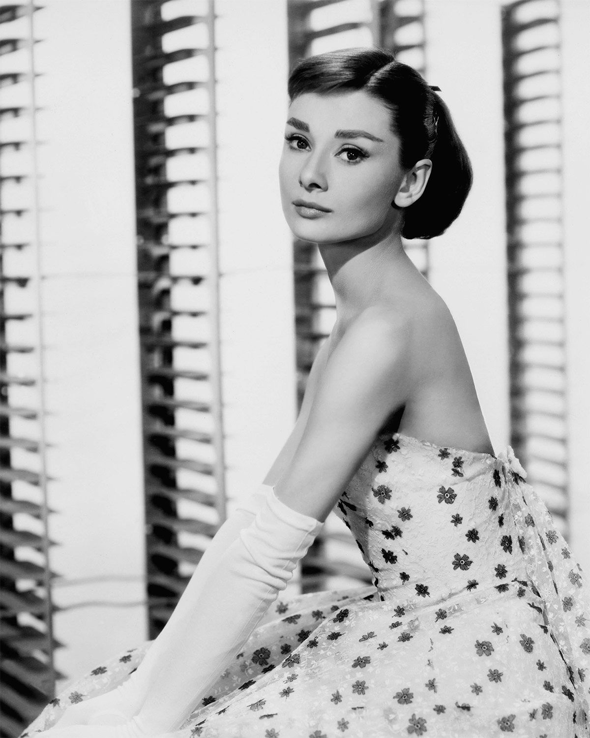 Audrey Hepburn 